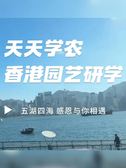 与香港园艺学会联合举办香港园艺研学，专业园境师带队讲解。