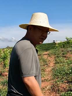 农业人叶涛，50多岁通讯人跨界搞农业，他要用1000万打造一个梦。